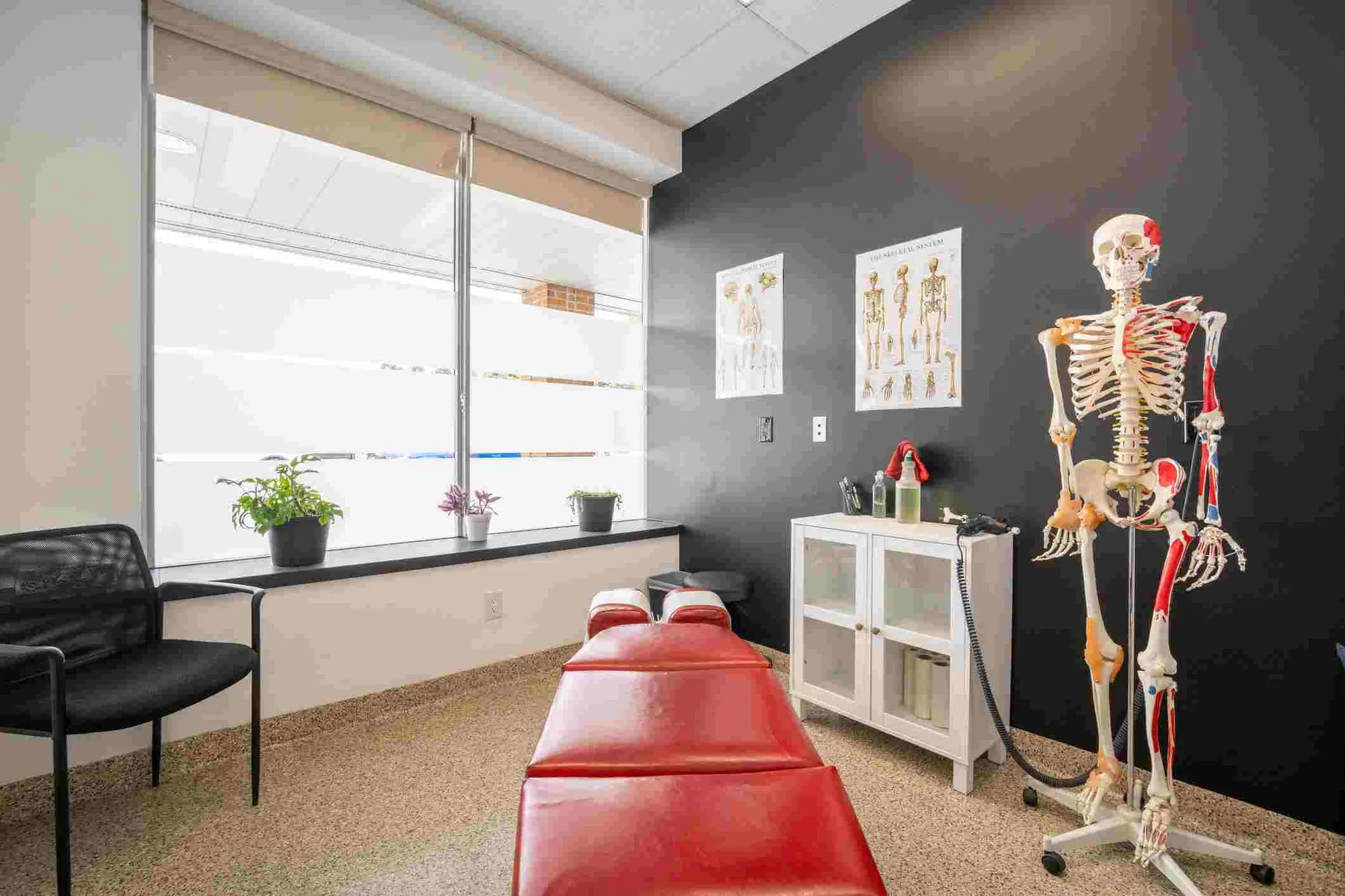 Chiropractic session