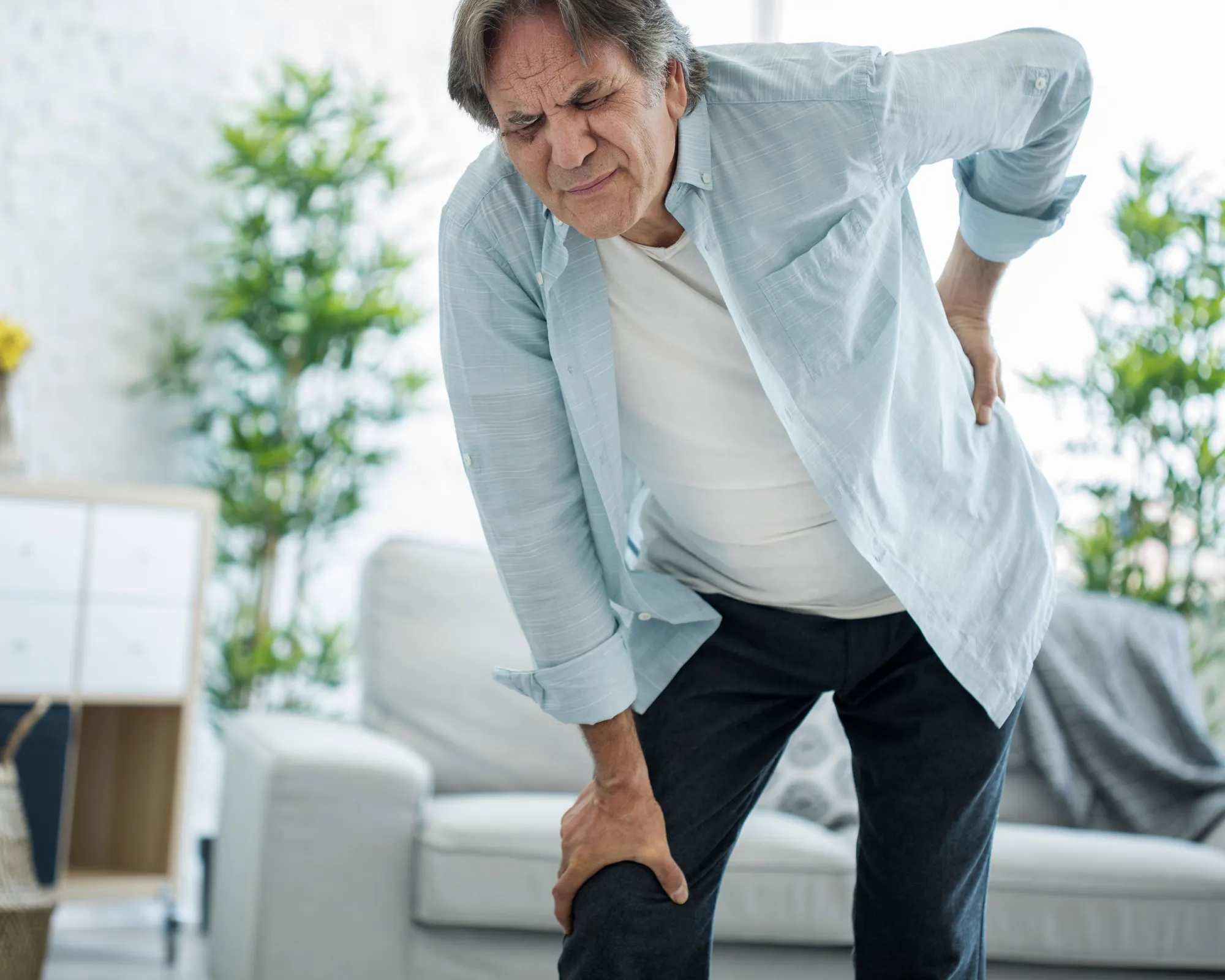 Meade chiropractic study back pain research