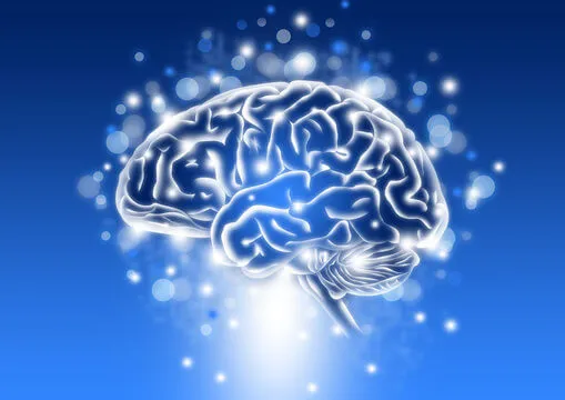 Sparkly brain