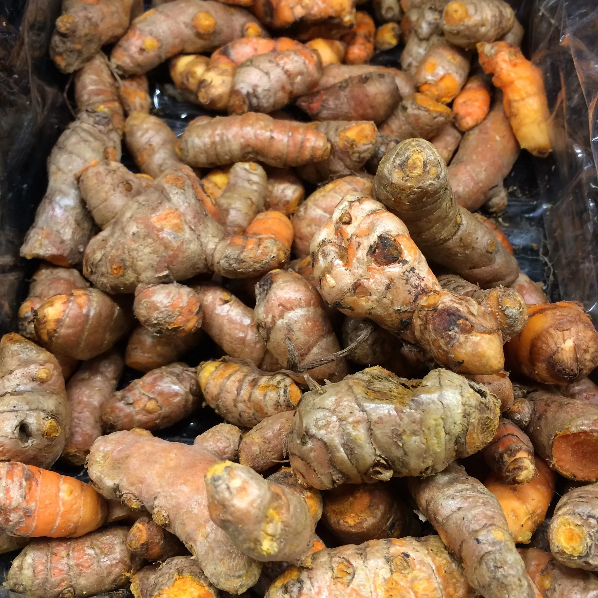 Tumeric root
