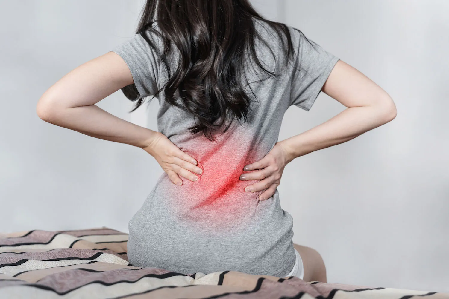 Top Chiropractor